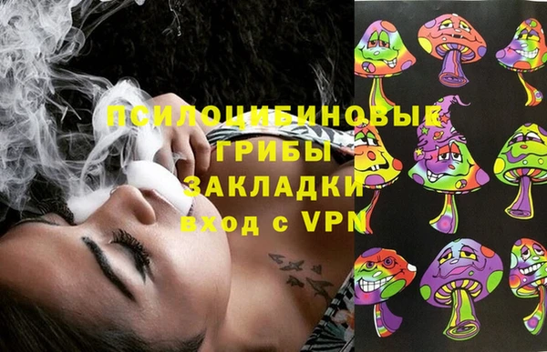 МДПВ Алзамай