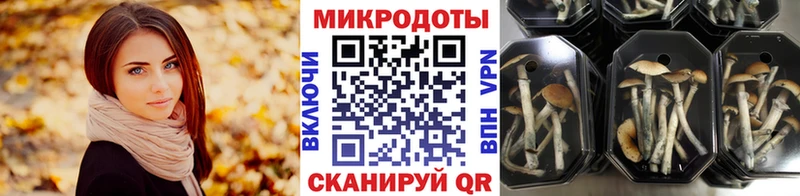 купить   мега маркетплейс  Галлюциногенные грибы GOLDEN TEACHER  Анжеро-Судженск 